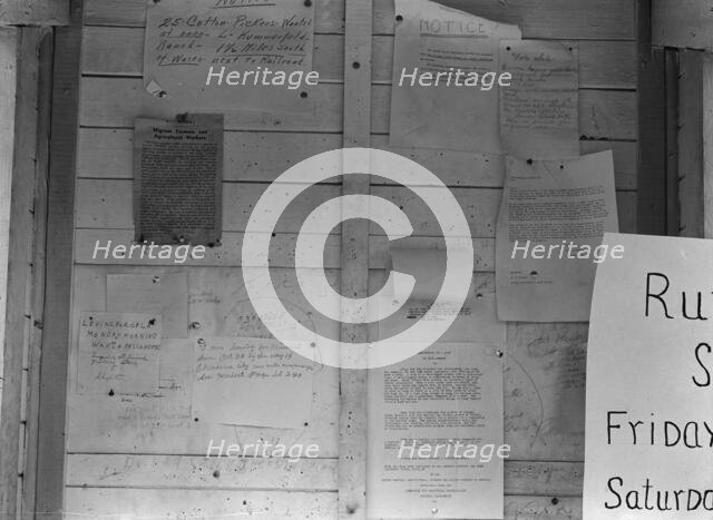 Campers' bulletin board at Shafter camp, California, 1938. Creator: Dorothea Lange.