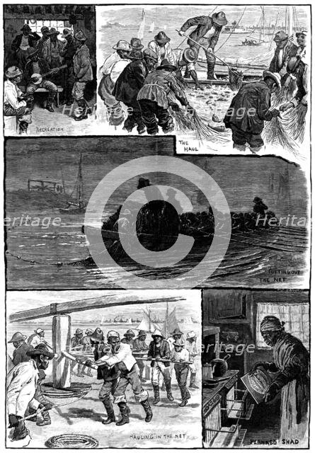 American Fisheries: shad-fishing on the Delaware, 1883. Creator: T. S. Bayley.