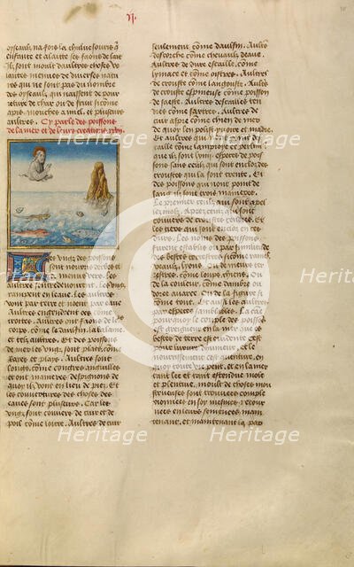 The Creation of Fishes; Miroir Historial, about 1475. Creator: Unknown.