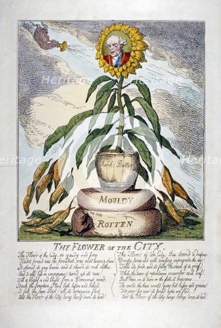 'The Flower of the City', 1809. Artist: Thomas Rowlandson