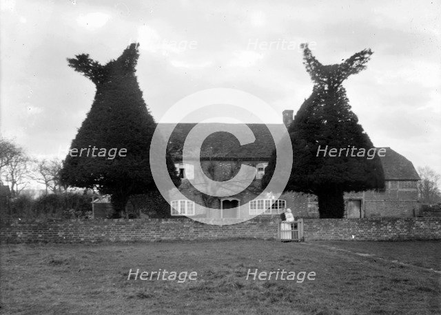 Yew tree topiary at Goosey Cottage, Goosey, Oxfordshire, c1860-c1922. Artist: Henry Taunt