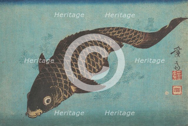 Koi, ca. 1842. Creator: Ikeda Eisen.