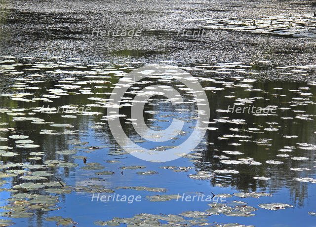 Battle Abbey, Battle, Rother, East Sussex, 2009. Creator: Peter Williams.