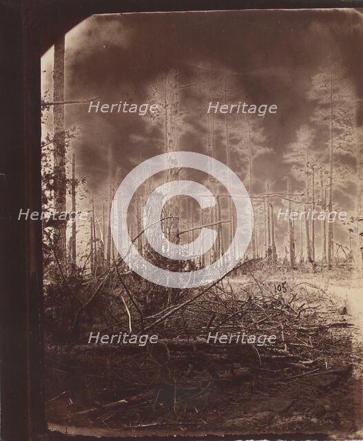 The Wilderness Battlefield, 1865-67.  Creator: Unknown.