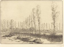Poplars near Amiens (Pres d'Amiens, les tourbieres). Creator: Alphonse Legros.