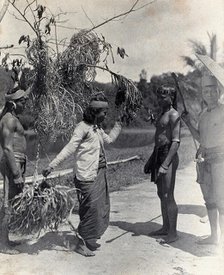Sarawak: a Kayan woman dancing with the head of an enemy, c1900. Creator: Unknown.