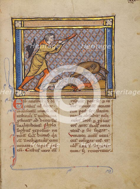 A Hunter and a Beaver; Bestiary, about 1270. Creator: Unknown.