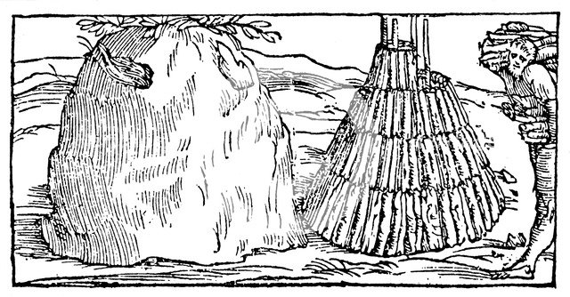 Charcoal burning, 1540. Artist: Unknown