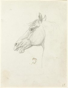 Horse's Head, c. 1810. Creator: Jacques-Louis David.