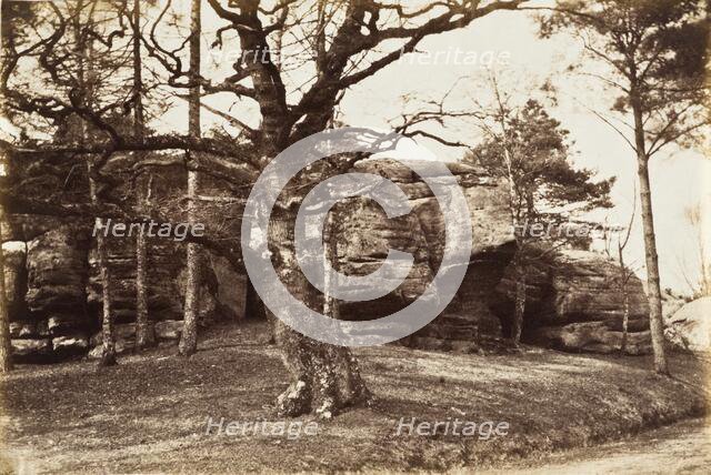 Tree and Rock, c.1850. Creator: Henrietta Augusta Mostyn.