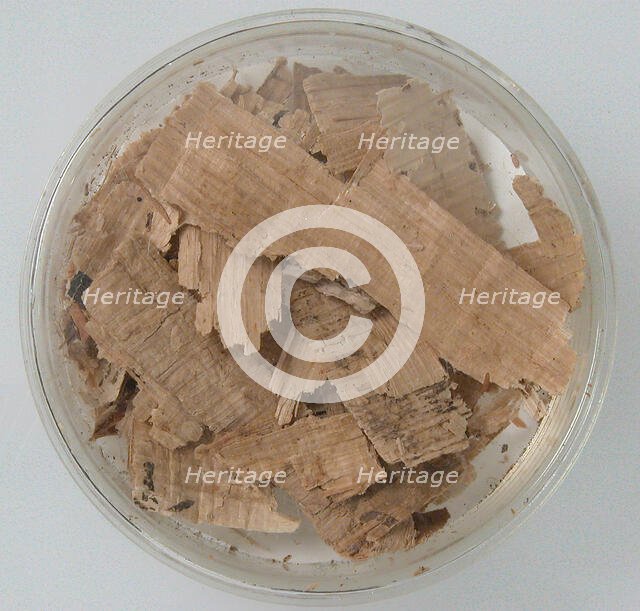 Papyri Fragments, Coptic, 7th century. Creator: Unknown.