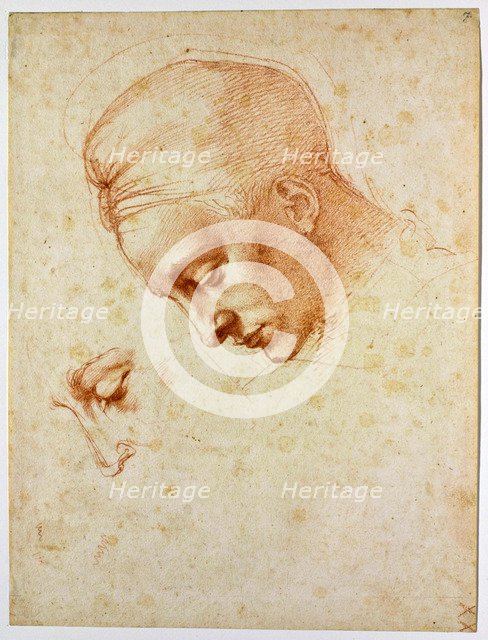 Study to the head of Leda, ca 1530. Artist: Buonarroti, Michelangelo (1475-1564)