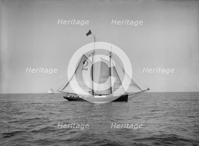Pilot boat no. 2, between 1900 and 1905. Creator: Unknown.