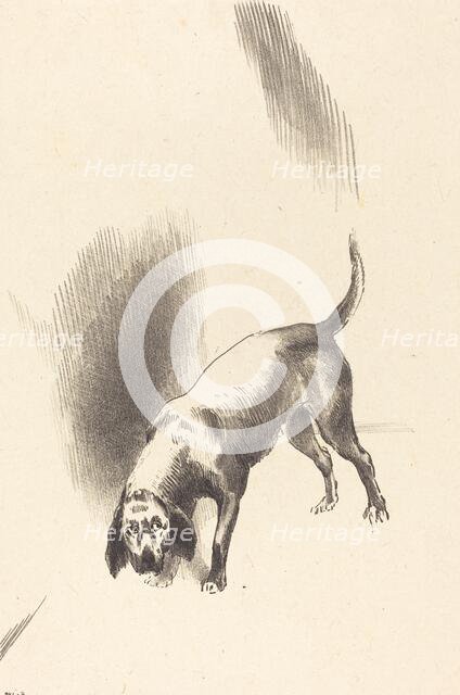 The Dog, 1896. Creator: Odilon Redon.
