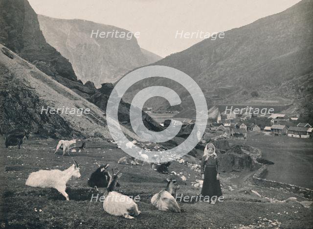 'Flaam', 1914. Creator: Unknown.