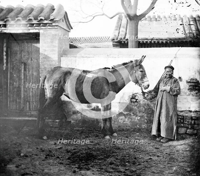 China: an old Mongol woman with her horse, Beijing, 1871. Creator: John Thomson.