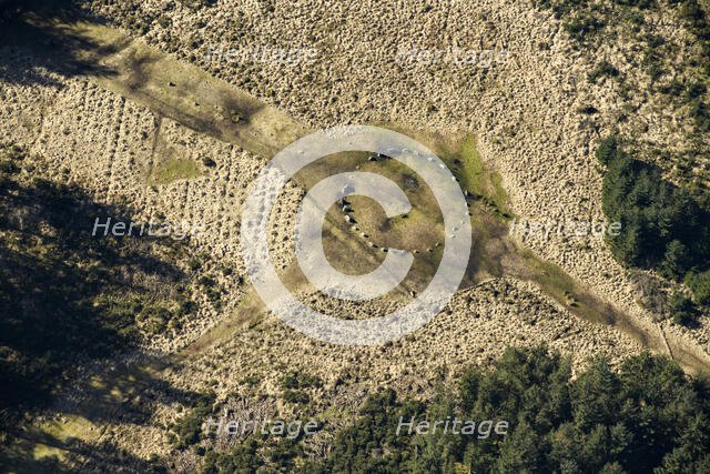 Fenworthy Circle, a Bronze Age stone circle on Dartmoor, Devon, 2025. Creator: Damian Grady.