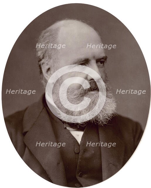 Edward Armitage, professor and lecturer on painting to the Royal Academy, 1878. Creator: Lock & Whitfield.