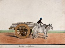 A man driving a bullock cart laden with sacks, (between 1800 and 1899?). Creator: Unknown.