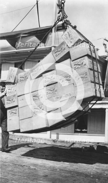 Loading boxes of salmon Petersburg, between c1900 and c1930. Creator: Unknown.