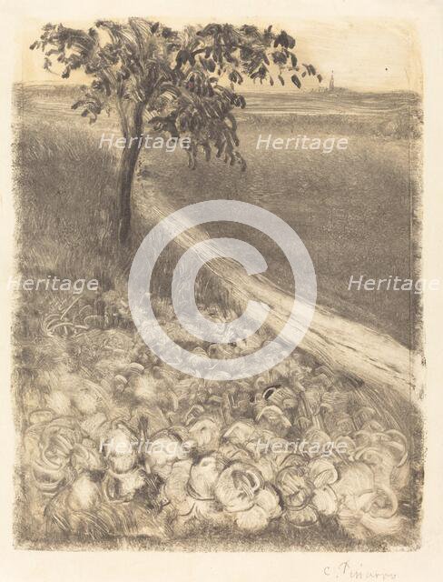 Road by a Field of Cabbages, c. 1880. Creator: Camille Pissarro.
