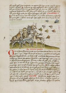 A Swarm of Insects Flying above a Group of Animals; Fables, third quarter of 15th century. Creator: Unknown.