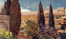 'The Cypresses of the Garden of Gethsemane', 1902. Creator: John Fulleylove.