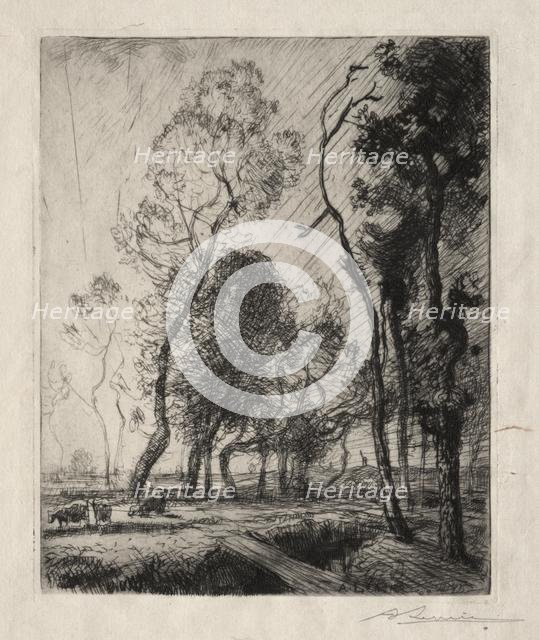 Coucher de Soleil derrière les Arbres, 1909. Creator: Auguste Louis Lepère (French, 1849-1918).