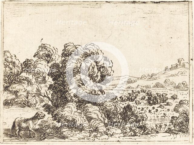 Sheep Calling Lamb. Creator: Jacques Callot.