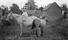 Child, horse and pony, Snitterfield, Warwickshire, c1896-c1920. Artist: Alfred Newton & Sons
