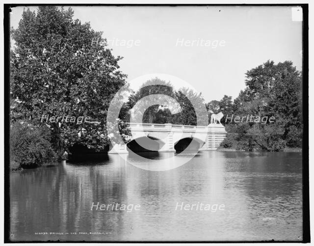 Bridge in the park, Buffalo, N.Y., between 1900 and 1906. Creator: Unknown.