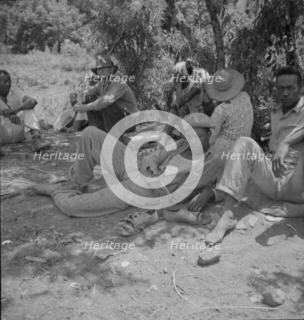 Lunchtime for cotton hoers, Mississippi Delta, 1937. Creator: Dorothea Lange.