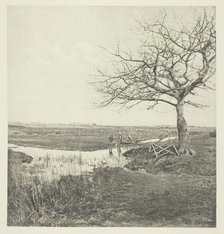 Leafless March (Suffolk), 1878/87, printed 1888. Creator: Peter Henry Emerson.