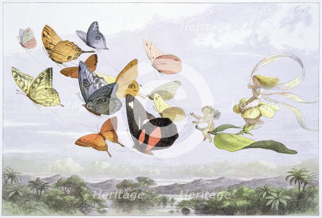 'The Fairy Queen's Carriage', c1870. Artist: Richard Doyle