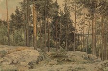 A pine tree near the lake shore, 1857. Creator: Werner Holmberg.