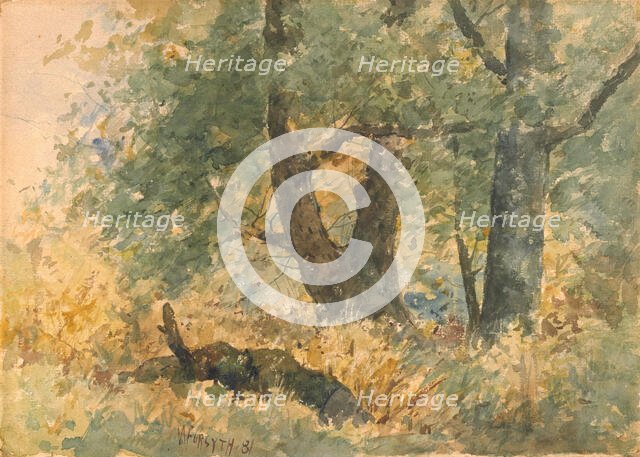 Woodland Landscape, 1881. Creator: William Forsyth.