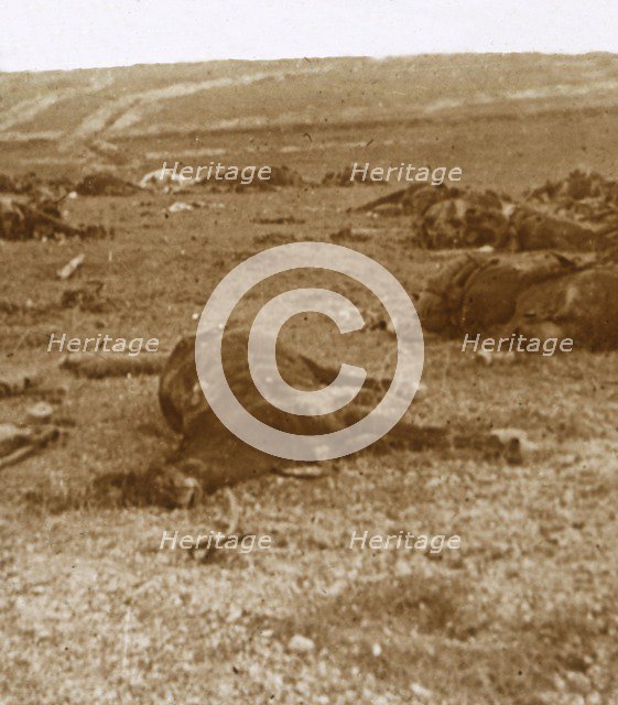 After the charge, Beauséjour, northern France, c1914-c1918. Artist: Unknown.