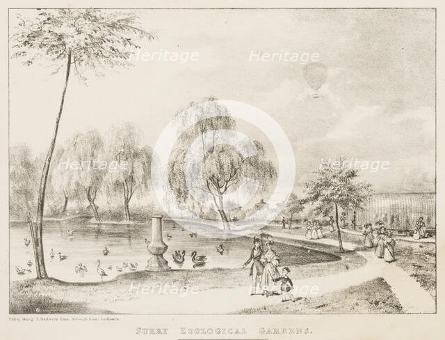 Surry Zoological Gardens, 1836.  Creator: Unknown.