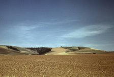 Wheat land, Walla Walla, Washington, 1941. Creator: Russell Lee.