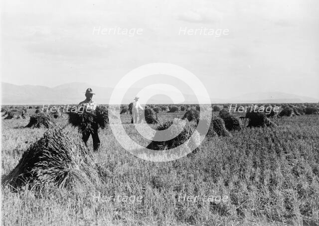 Minidoka Project - U.S. Reclamation Bureau. Minidoka Desert On Year After Irrigation By Gov..., 1912 Creator: Harris & Ewing.