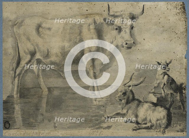 An ox and two goats, unknown date. Creator: Anon.