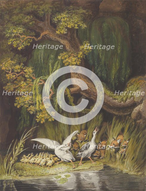 A Goose and a Gander with their Goslings Honking in Alarm as Two Foxes..., mid-18th-early 19th cent. Creator: Johann Heinrich Wilhelm Tischbein.