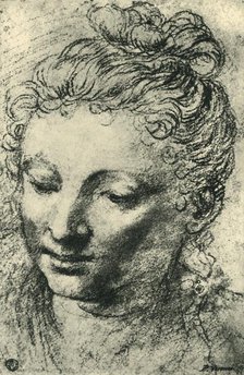 Head of a woman looking down, mid 16th century, (1943). Creator: Paolo Veronese.