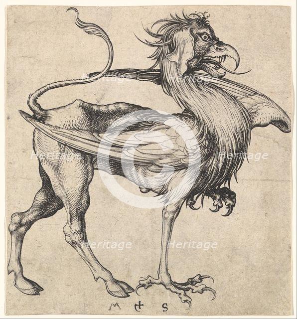 Griffin, ca. 1435-1491. Creator: Martin Schongauer.