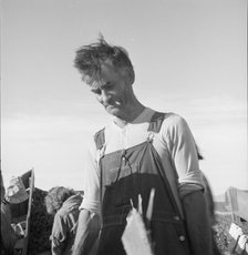 Straw boss of pea packers in the field near Calipatria, Imperial Valley, California, 1939. Creator: Dorothea Lange.