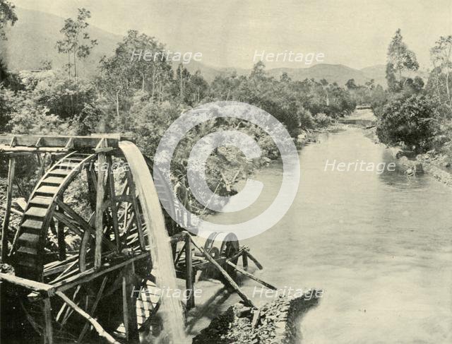 'In the Ovens River, Germantown', 1901. Creator: Unknown.