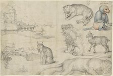 Sketches of Animals and Landscapes, 1521. Creator: Dürer, Albrecht (1471-1528).