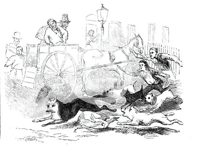 Novel fox hunt, 1844. Creator: Unknown.