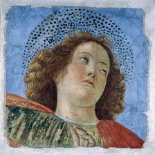 Head Of A Young Apostle.