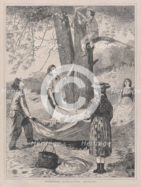 Chestnutting (Every Saturday, Vol. I, New Series), October 29, 1870. Creator: Unknown.